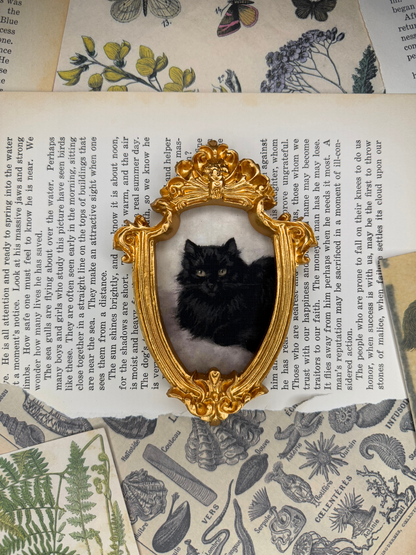 Small Black Cat Magnet #1