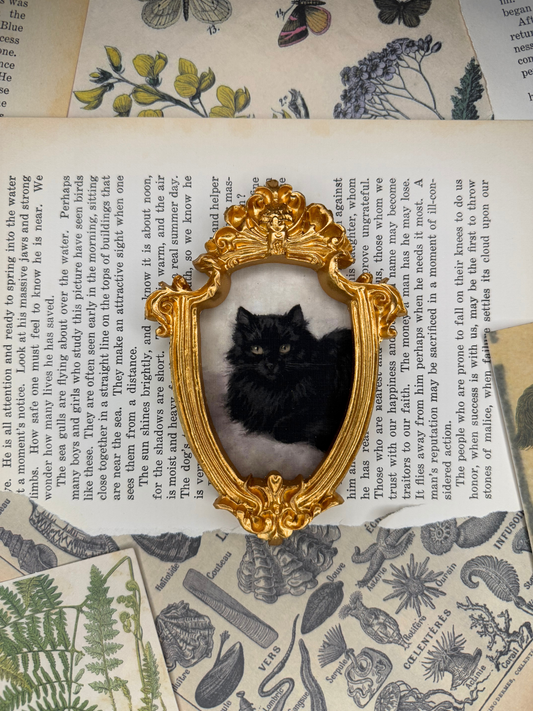 Small Black Cat Magnet #1