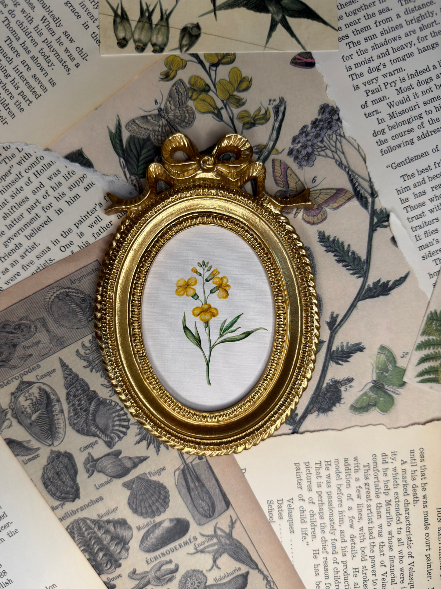 Small Yellow Wallflower Magnet