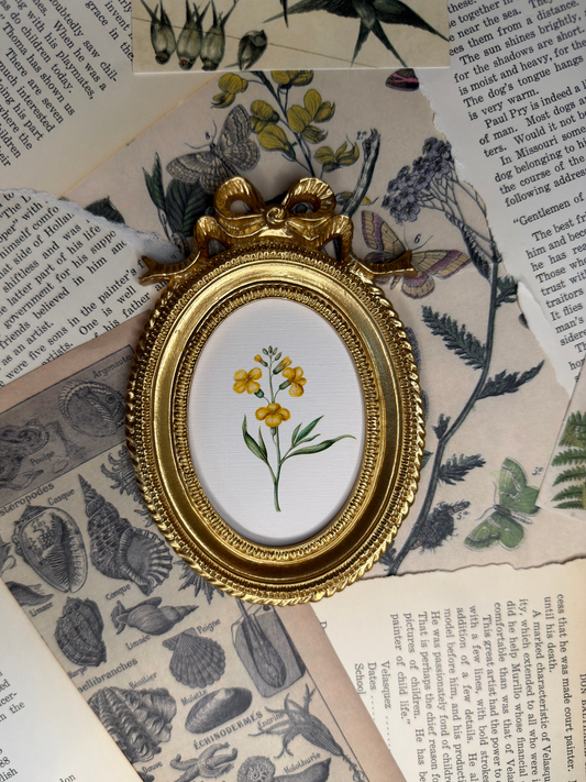 Small Yellow Wallflower Magnet