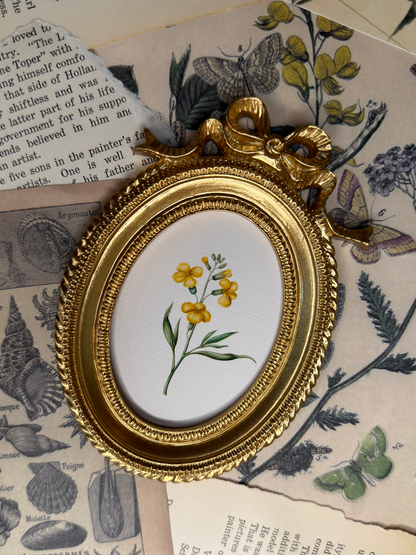 Small Yellow Wallflower Magnet