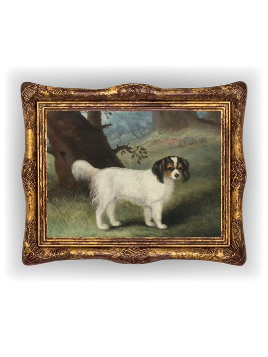 King Charles Spaniel
