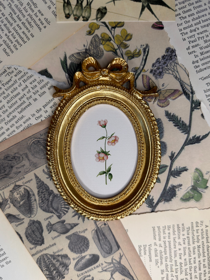 Small Pink Flowers Magnet