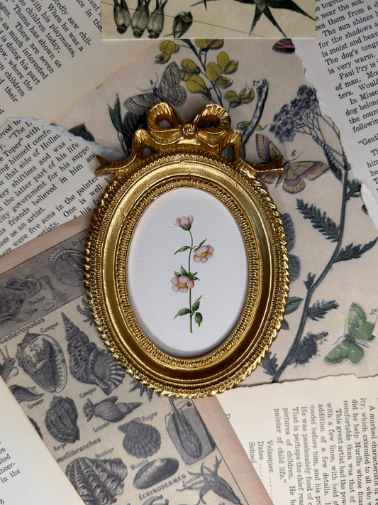 Small Pink Flowers Magnet