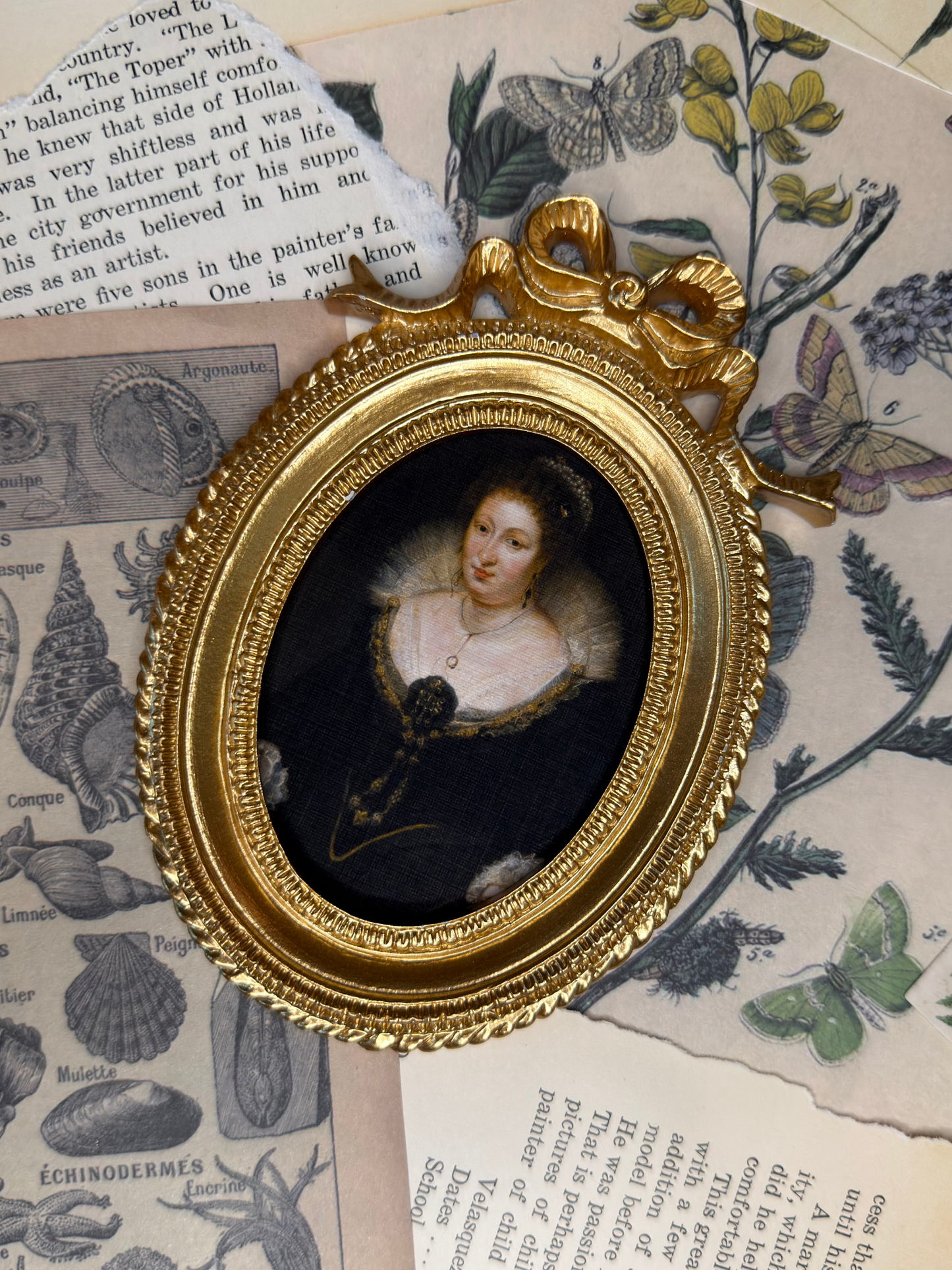 Small Countess of Arundel Magnet