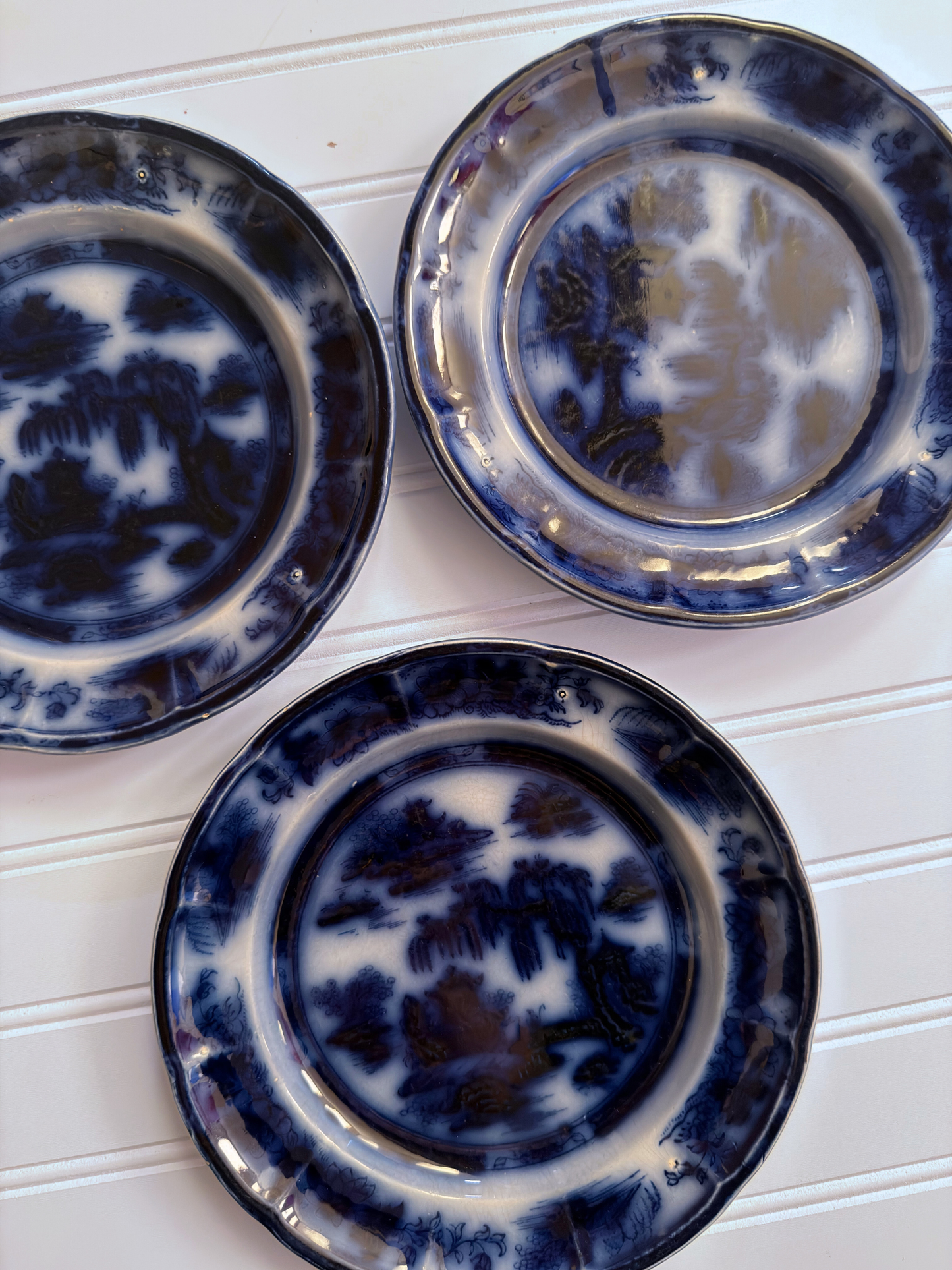 Medium Evan & Hill Concord, N.H. Importers Plates