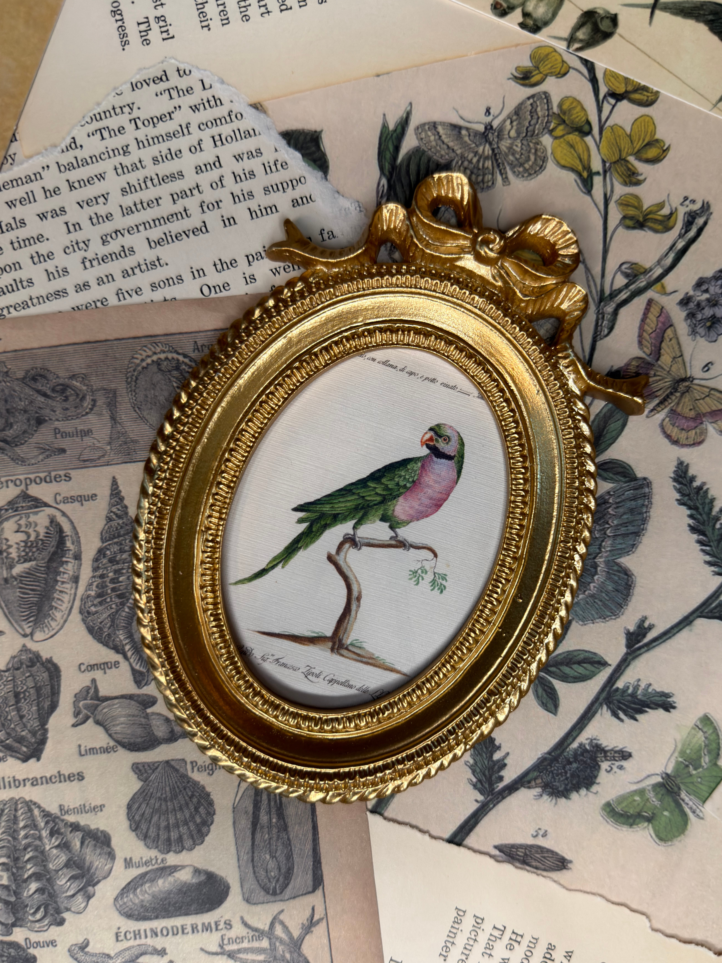 Small Parakeet Magnet