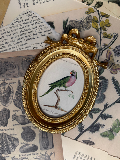 Small Parakeet Magnet