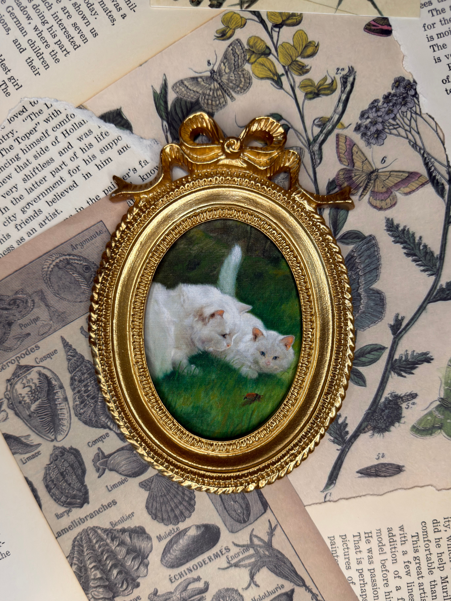 Small White Cats Magnet