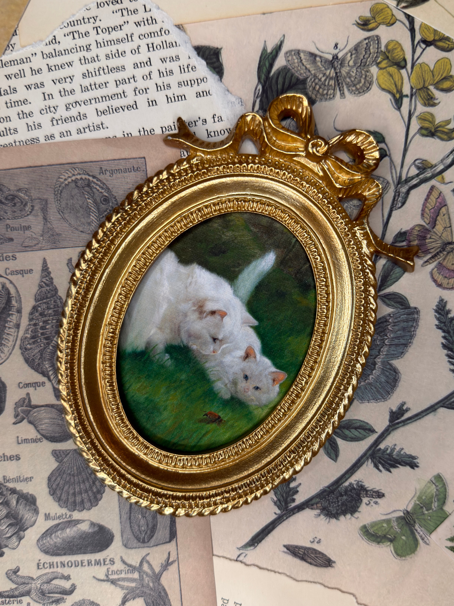 Small White Cats Magnet