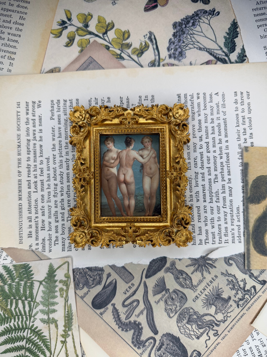Small Three Graces Magnet