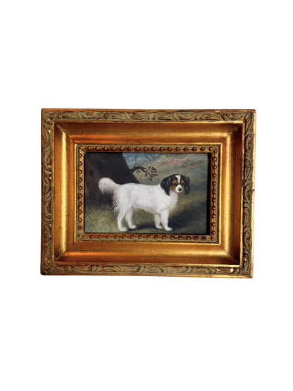 Small print of a white and black King Charles spaniel in a decorative gold frame on a white background