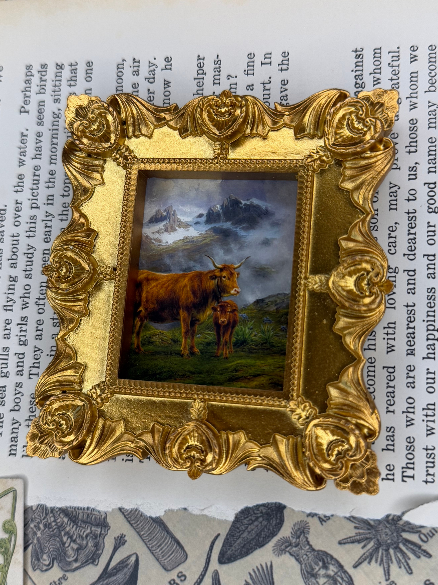 Small Cows Magnet