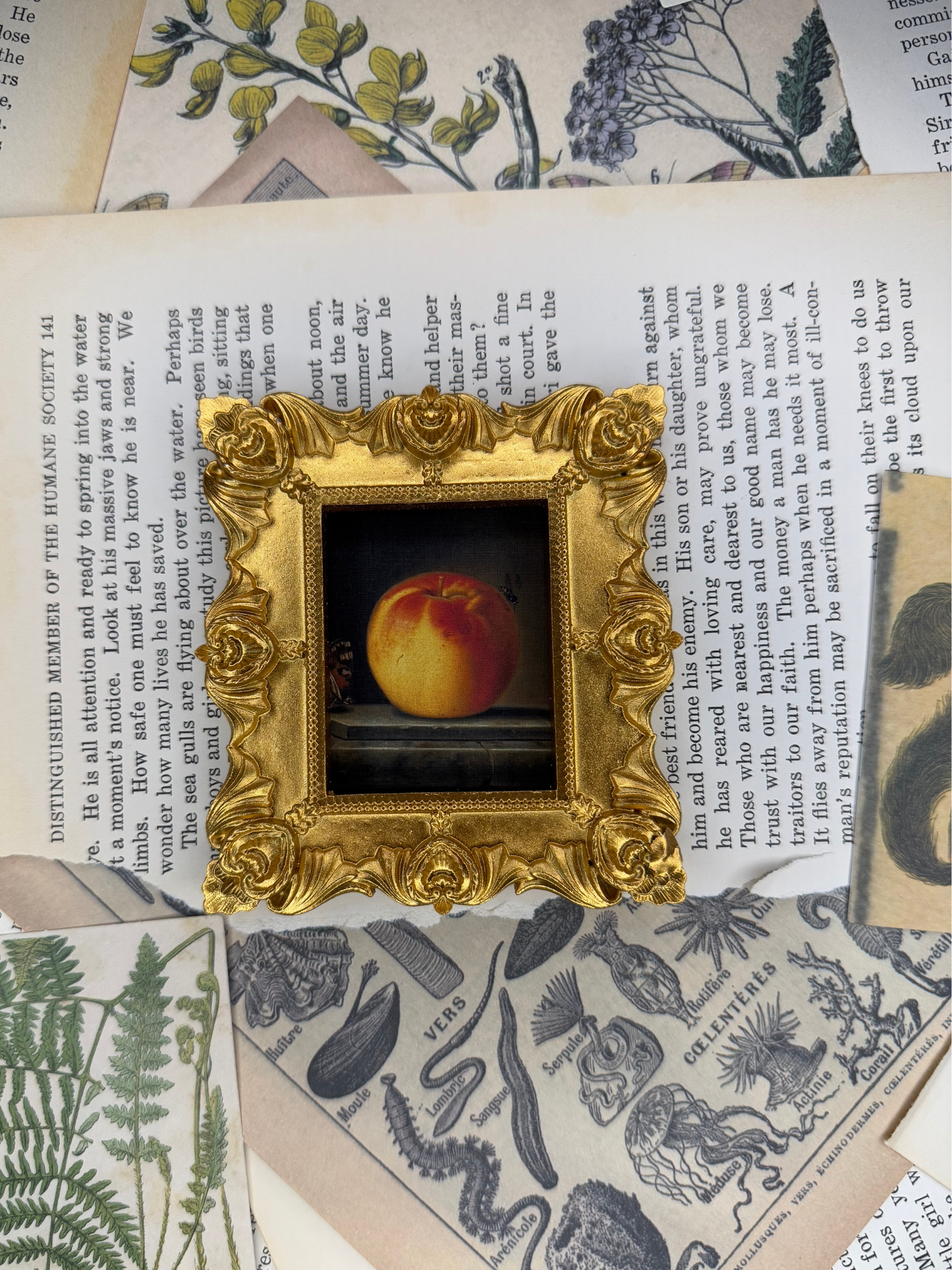 Small Apple Magnet