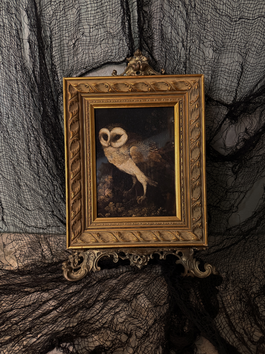 Framed Owls Giclee Print