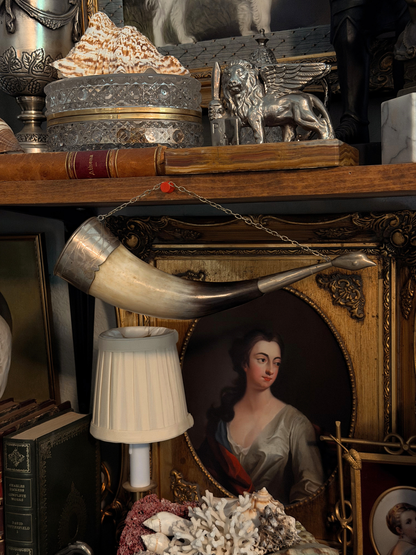 Wine Drinking Horns with Silver Bird Faces Wall Decor