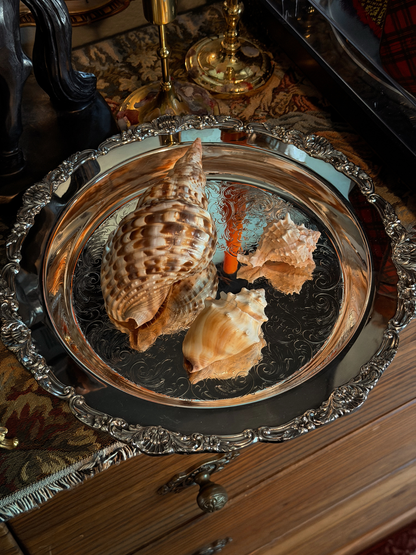 Silver Plated Serving Tray