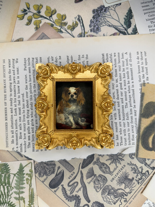 Small King Charles Spaniel Magnet