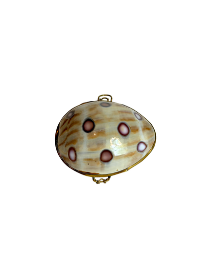 Seashell Trinket Box