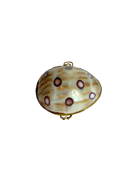Seashell Trinket Box