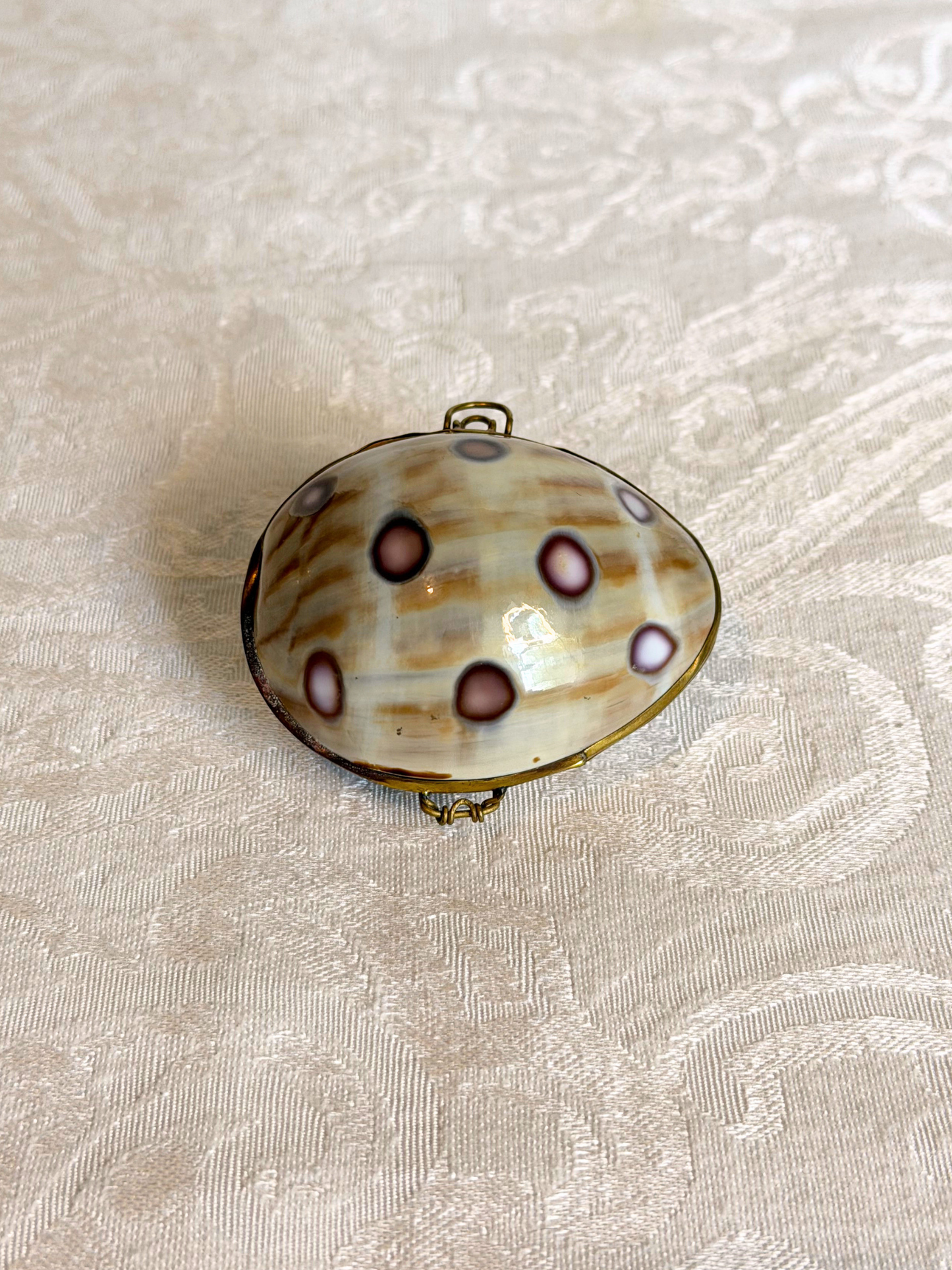 Seashell Trinket Box
