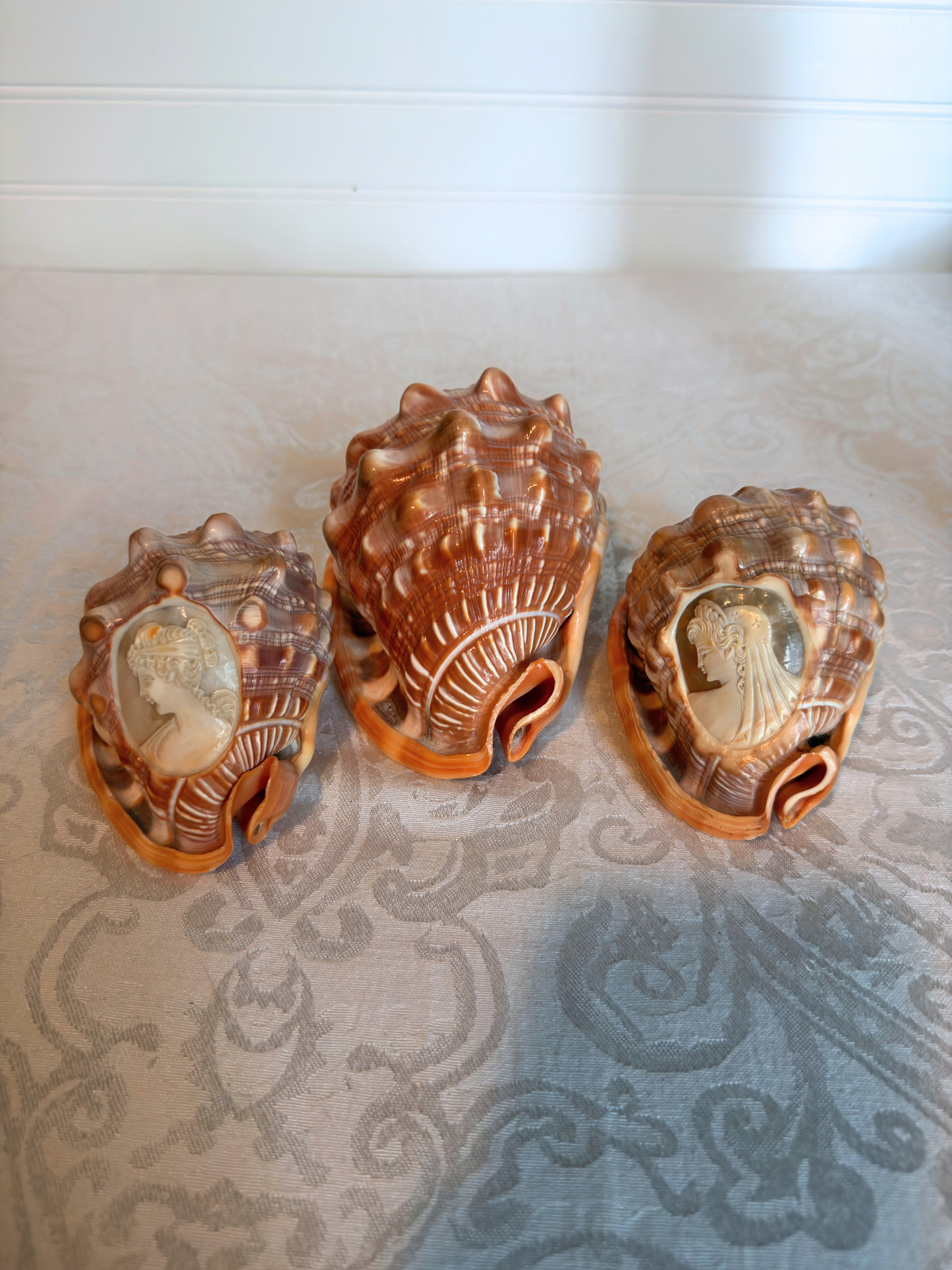 Italian Hand-Carved Cameo Shells