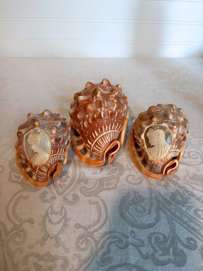 Italian Hand-Carved Cameo Shells