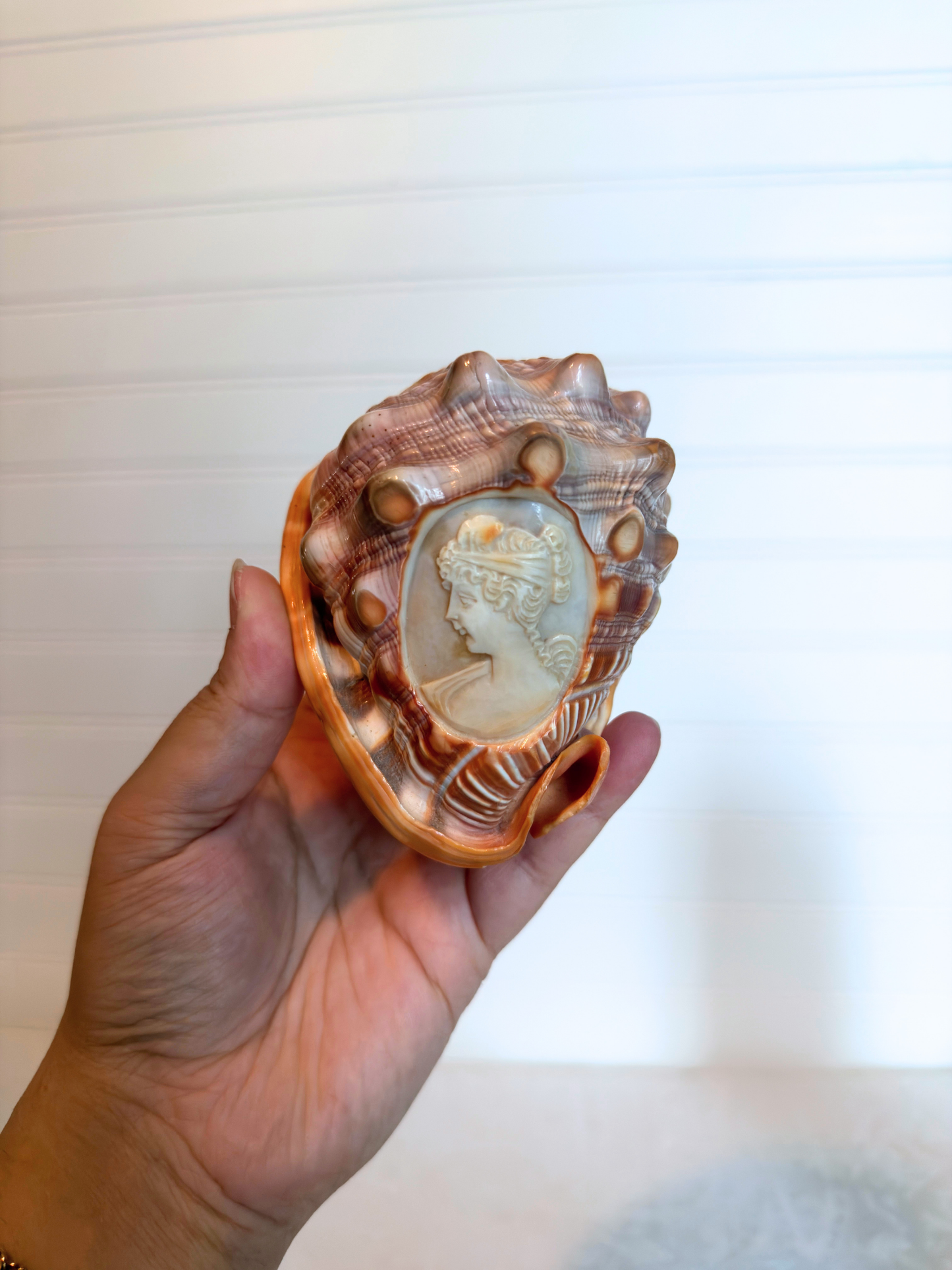 Italian Hand-Carved Cameo Shells