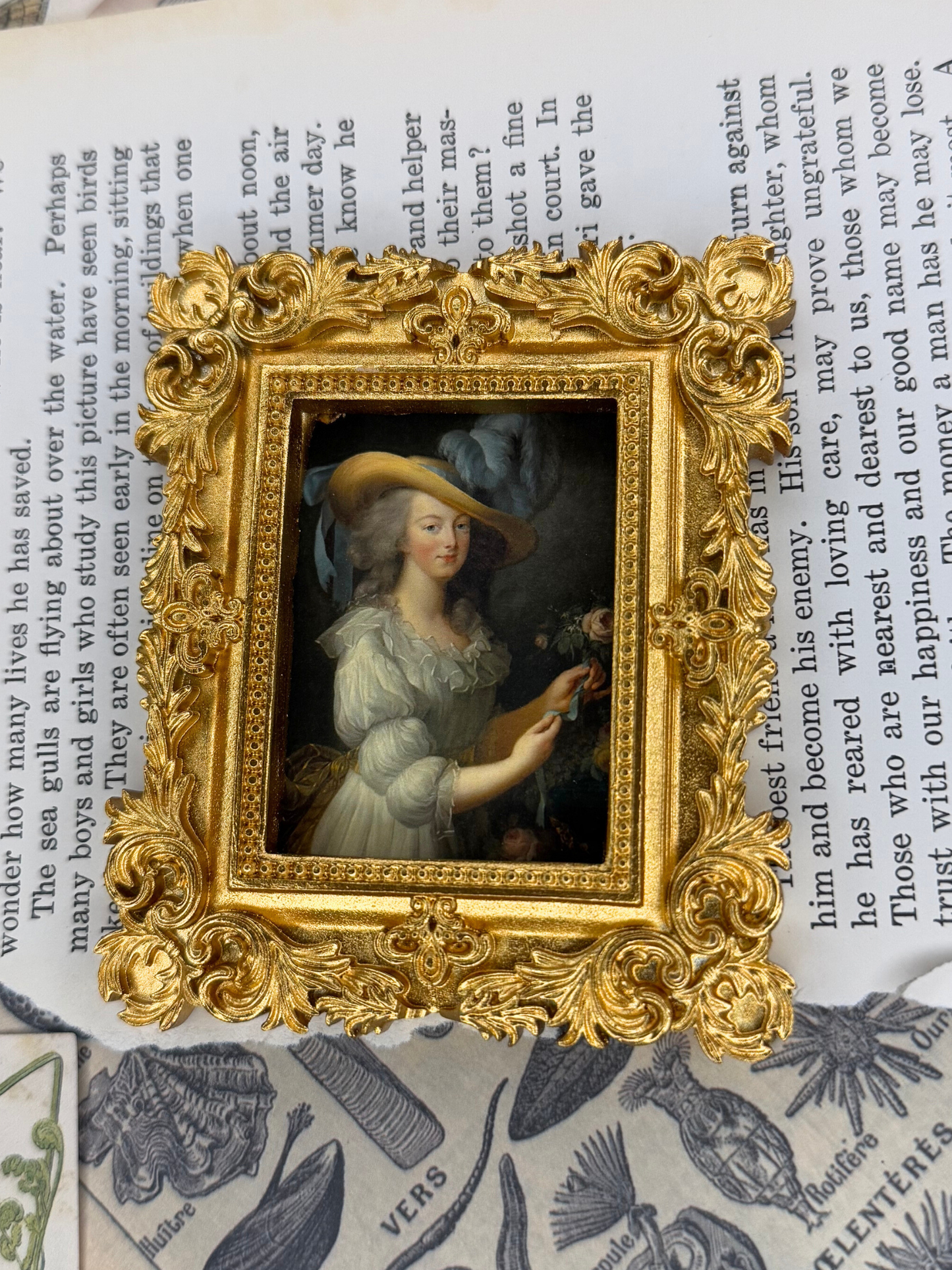 Small Marie Antoinette Magnet
