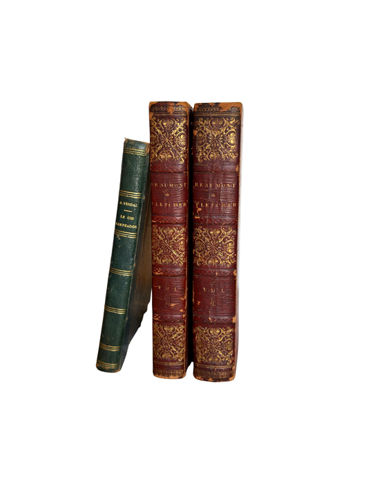 Leather Books Bundle