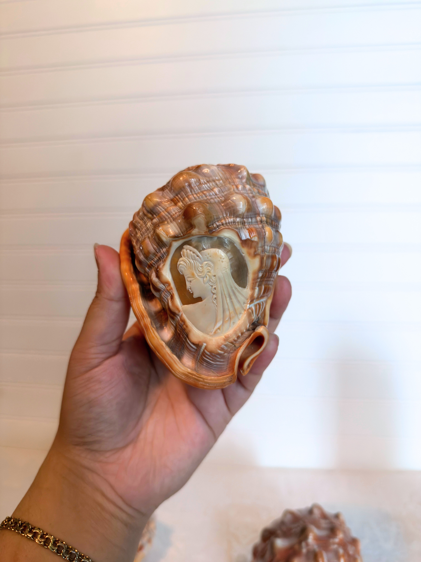 Italian Hand-Carved Cameo Shells