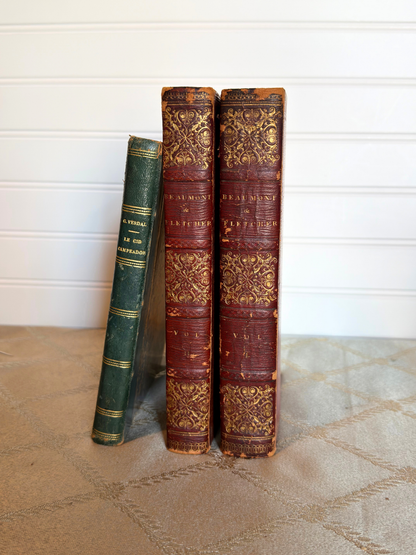 Leather Books Bundle