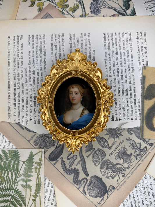 Small Countess of Northumberland Magnet