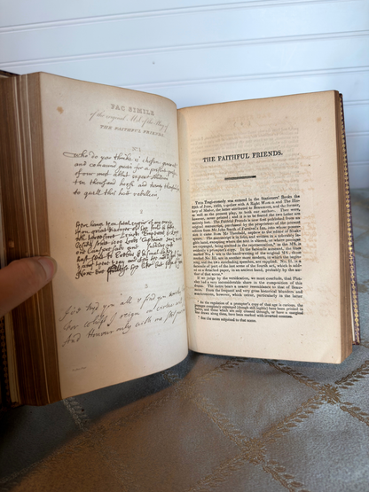Leather Books Bundle