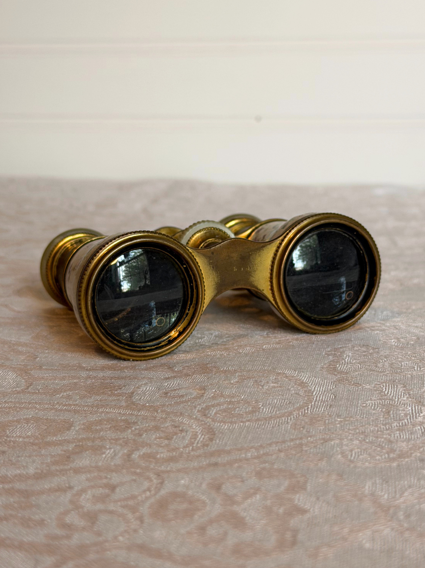 French Hand-painted Enamel Opera Glasses