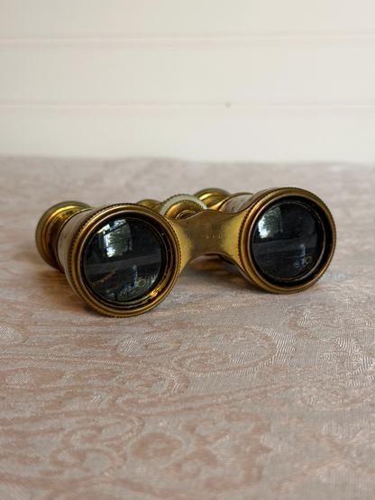 French Hand-painted Enamel Opera Glasses