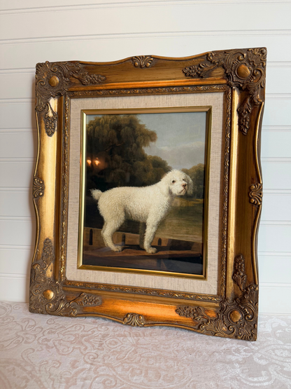 White Poodle Framed Giclee Print