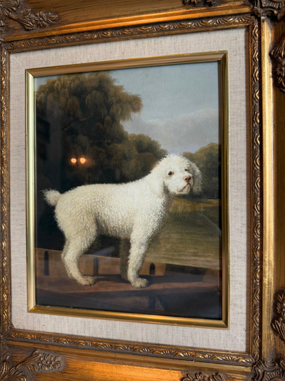 White Poodle Framed Giclee Print