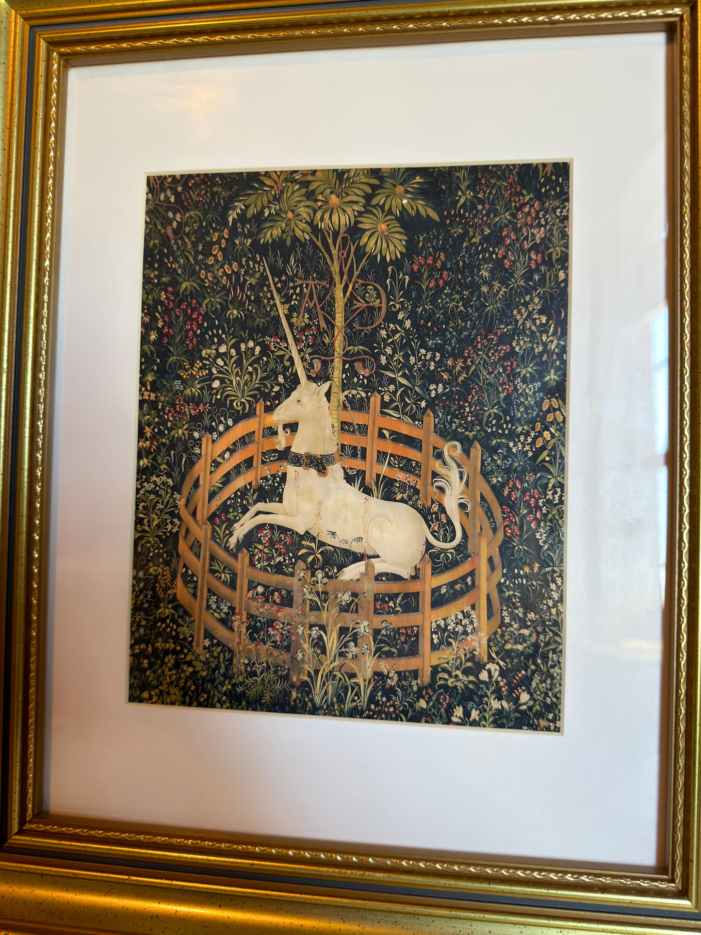 Framed Unicorn Print