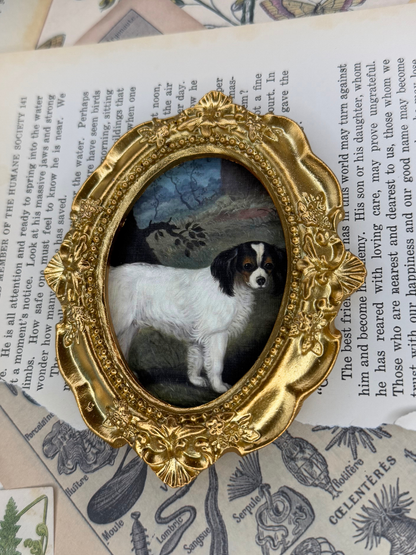 Small King Charles Spaniel Magnet