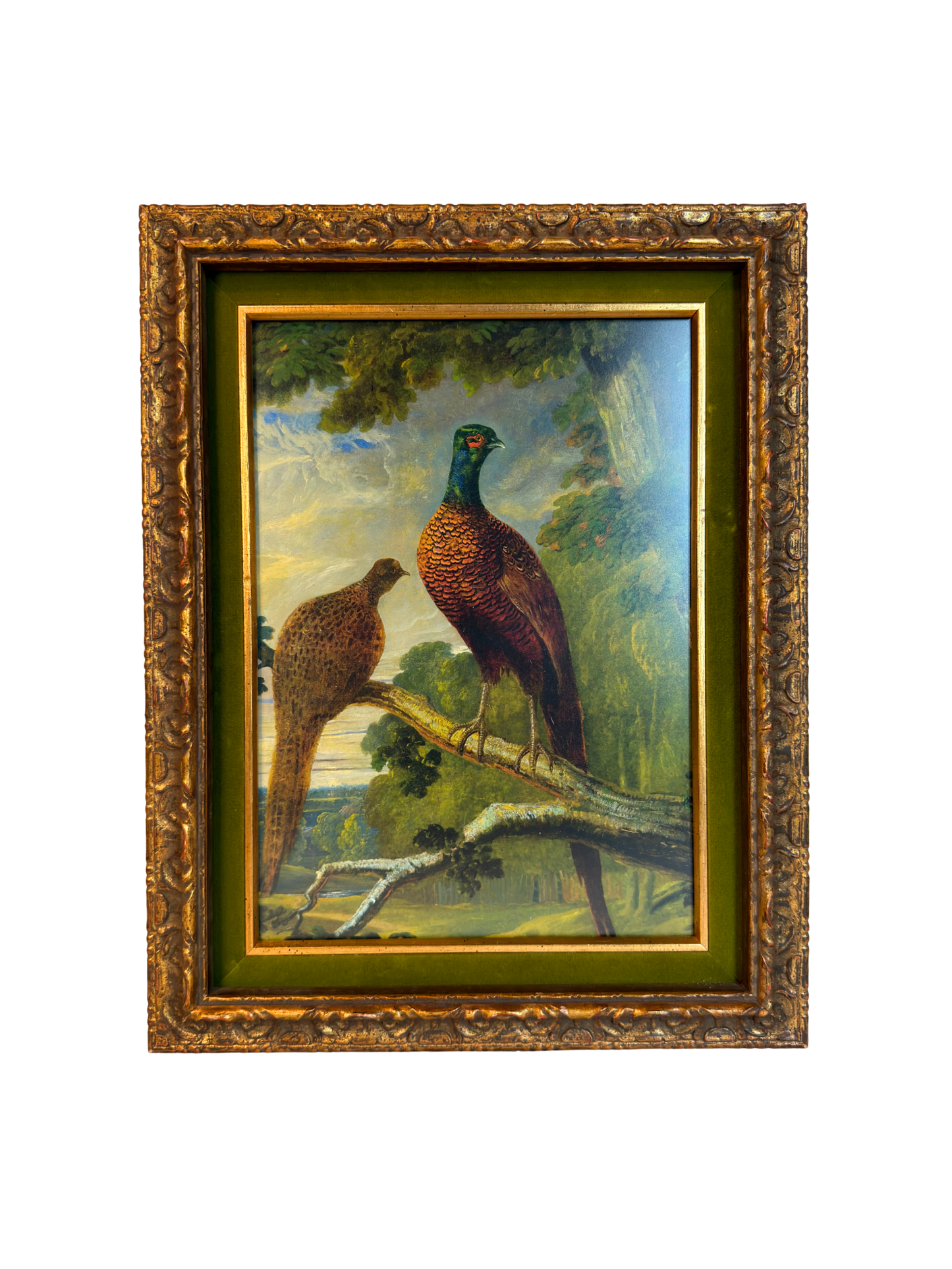 Framed Pheasant Cock & Hen Giclee Print