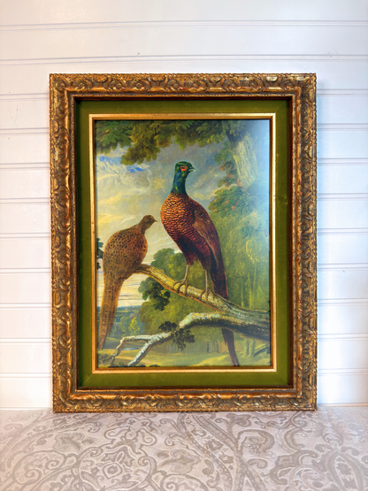 Framed Pheasant Cock & Hen Giclee Print