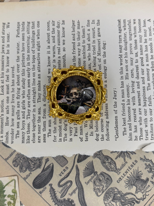 Mini Skull Still Life Magnet