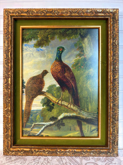 Framed Pheasant Cock & Hen Giclee Print
