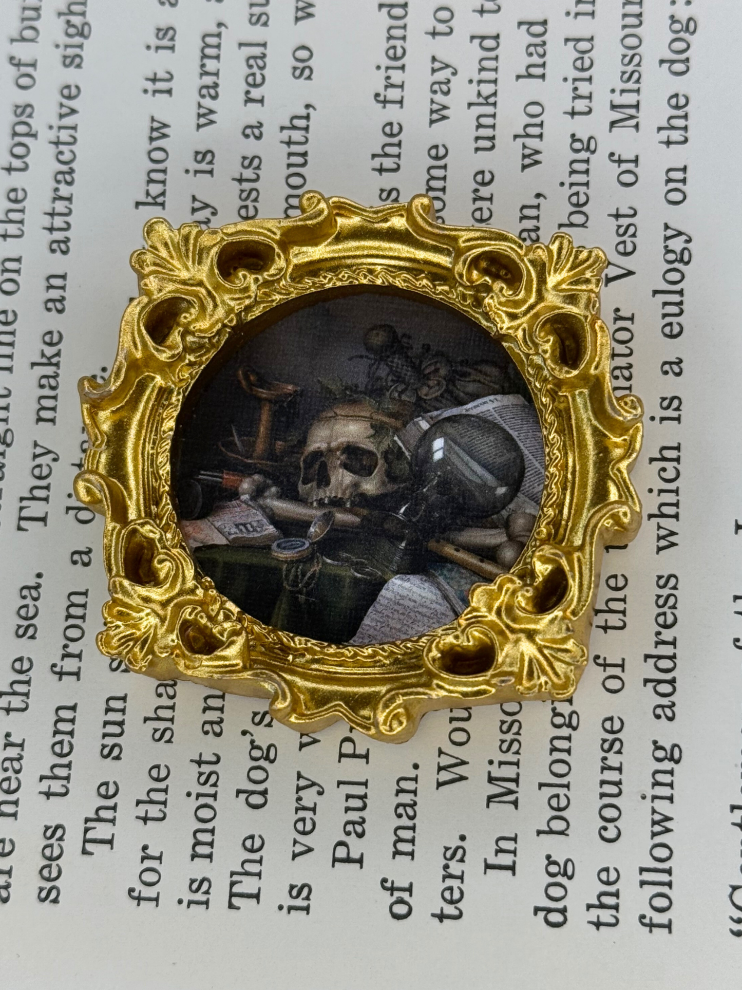 Mini Skull Still Life Magnet