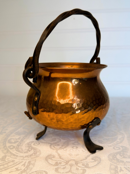 Copper Cauldron Planter
