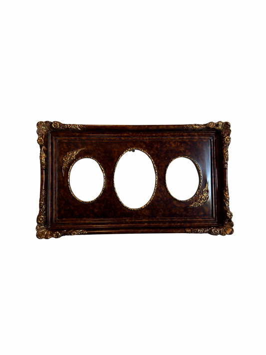 Faux Tortoise Shell Frame