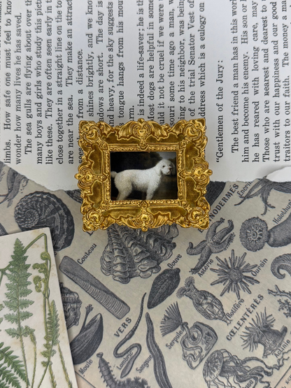 Mini White Poodle Magnet