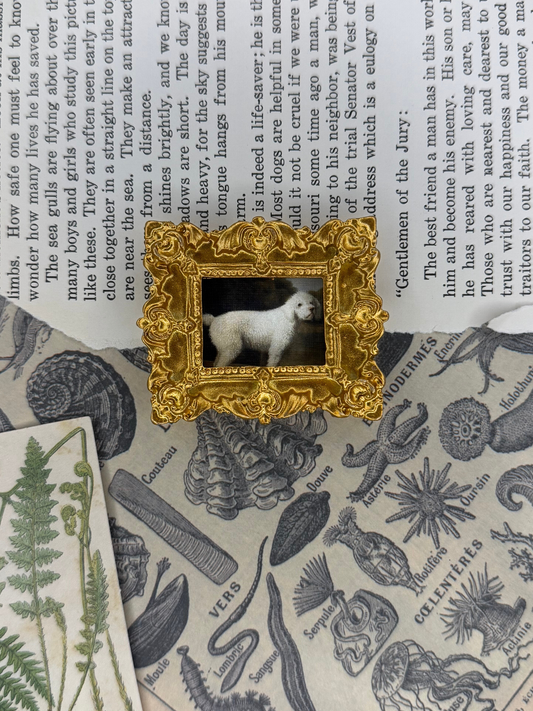 Mini White Poodle Magnet
