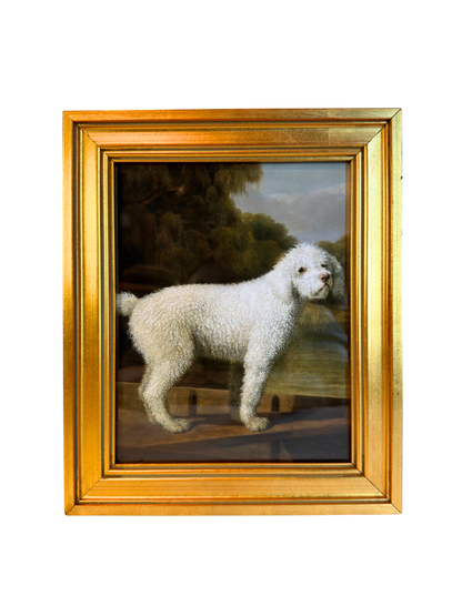 Framed White Poodle Giclee Print